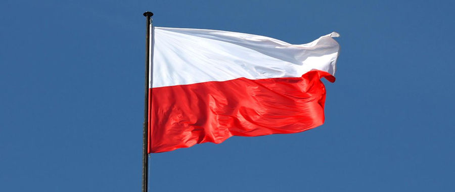 Grafika: flaga Polski