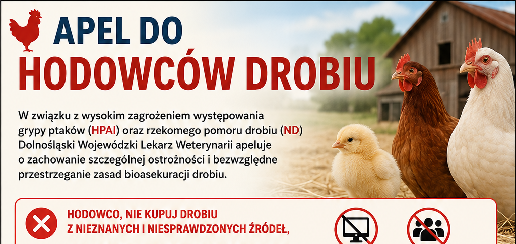 Plakat: apel do chodowców drobiu