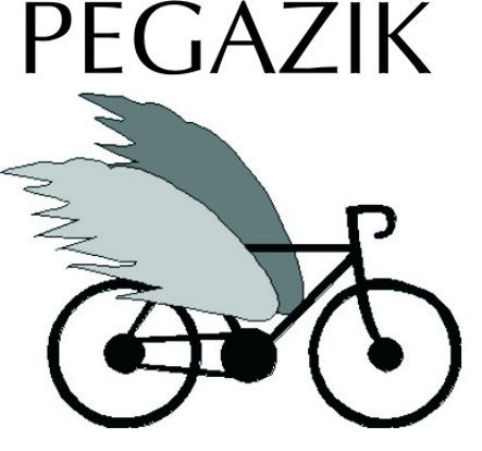 Logo: Pegazik