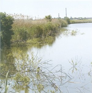 Jezioro Jaśkowice